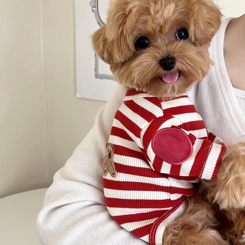 Camisa listrada para cachorro, - Sleeveless Undershirt avaliação e preço
